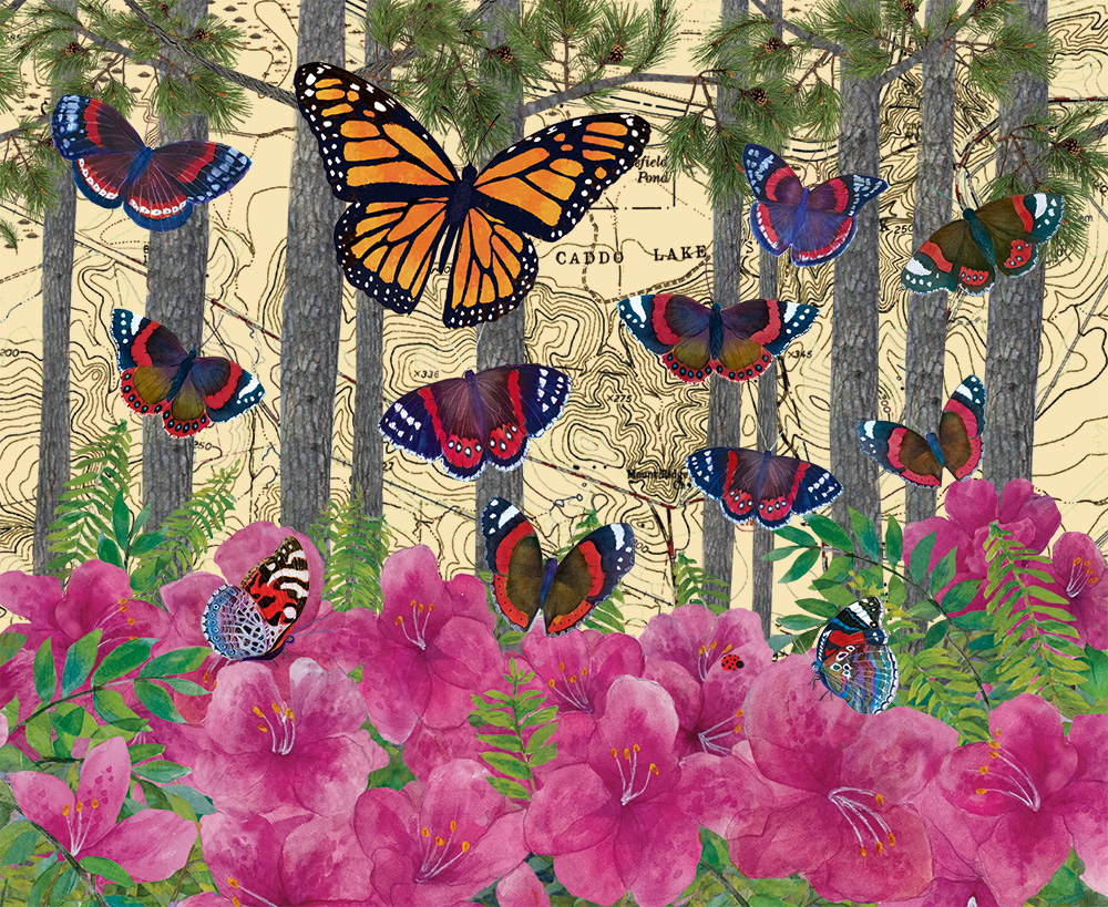 Monarch and Red Admirals at Caddo Lake