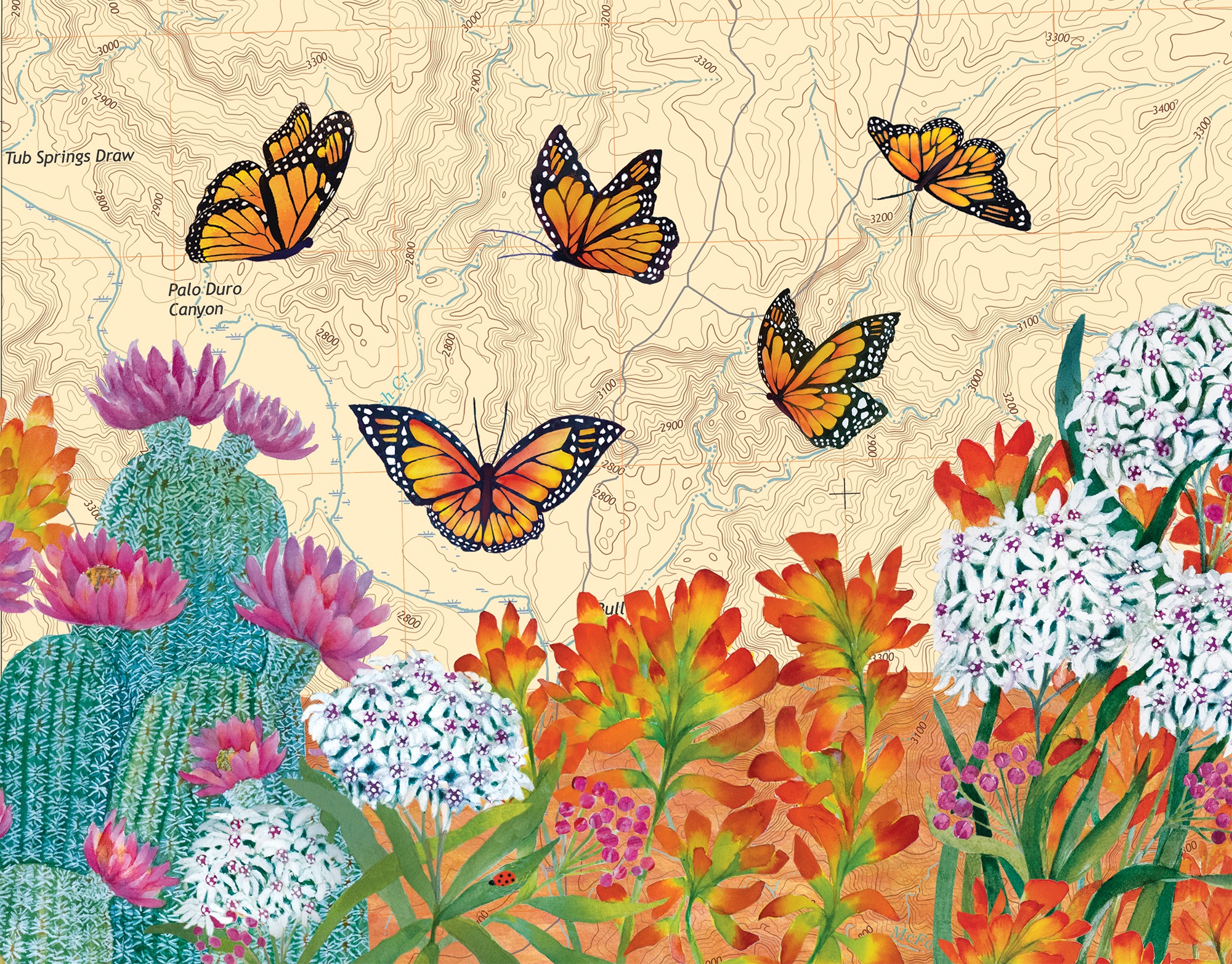 Monarch and Mexican Bluewings in Big Bed State Park