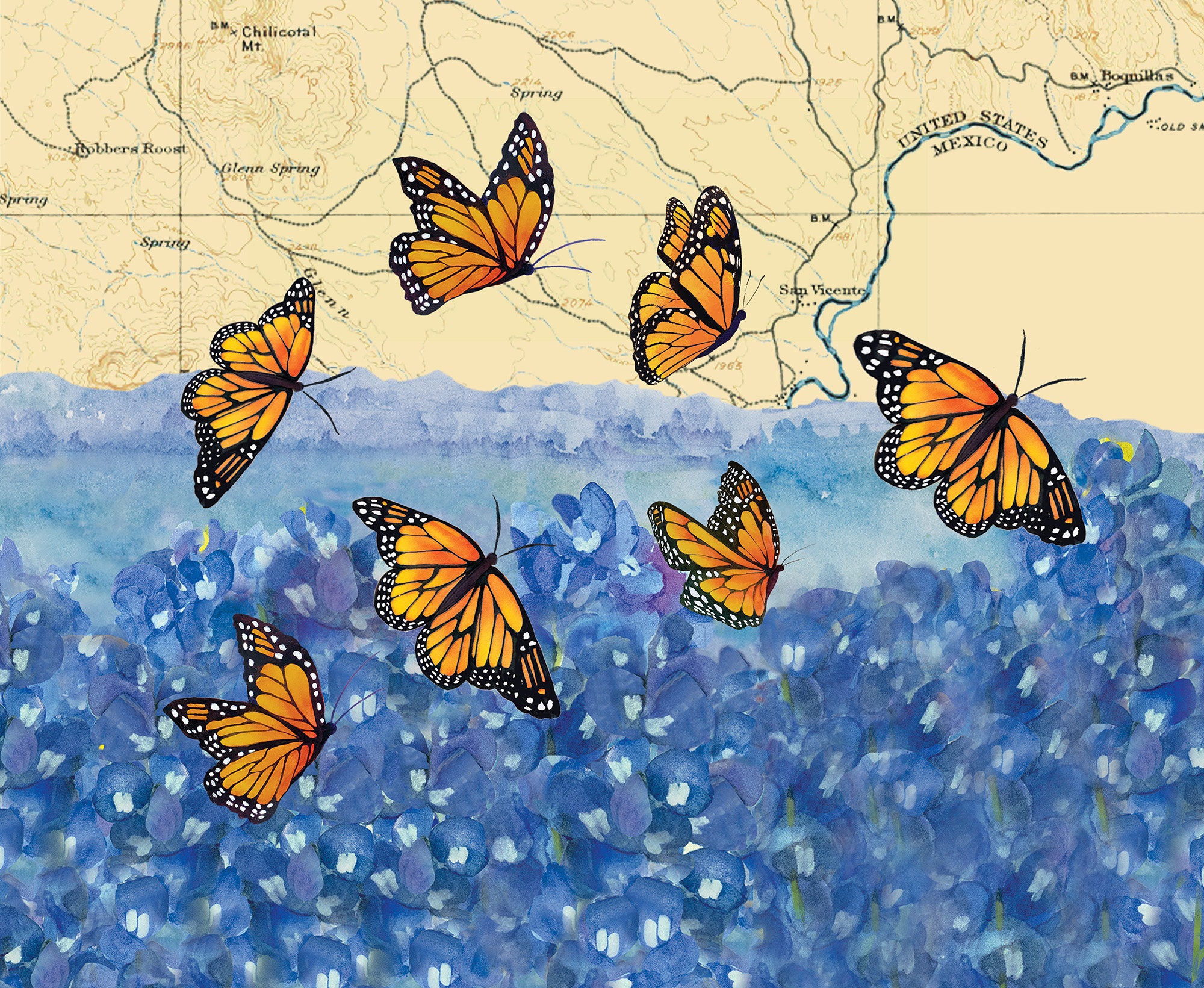 Monarchs by Kathryn Vermillion