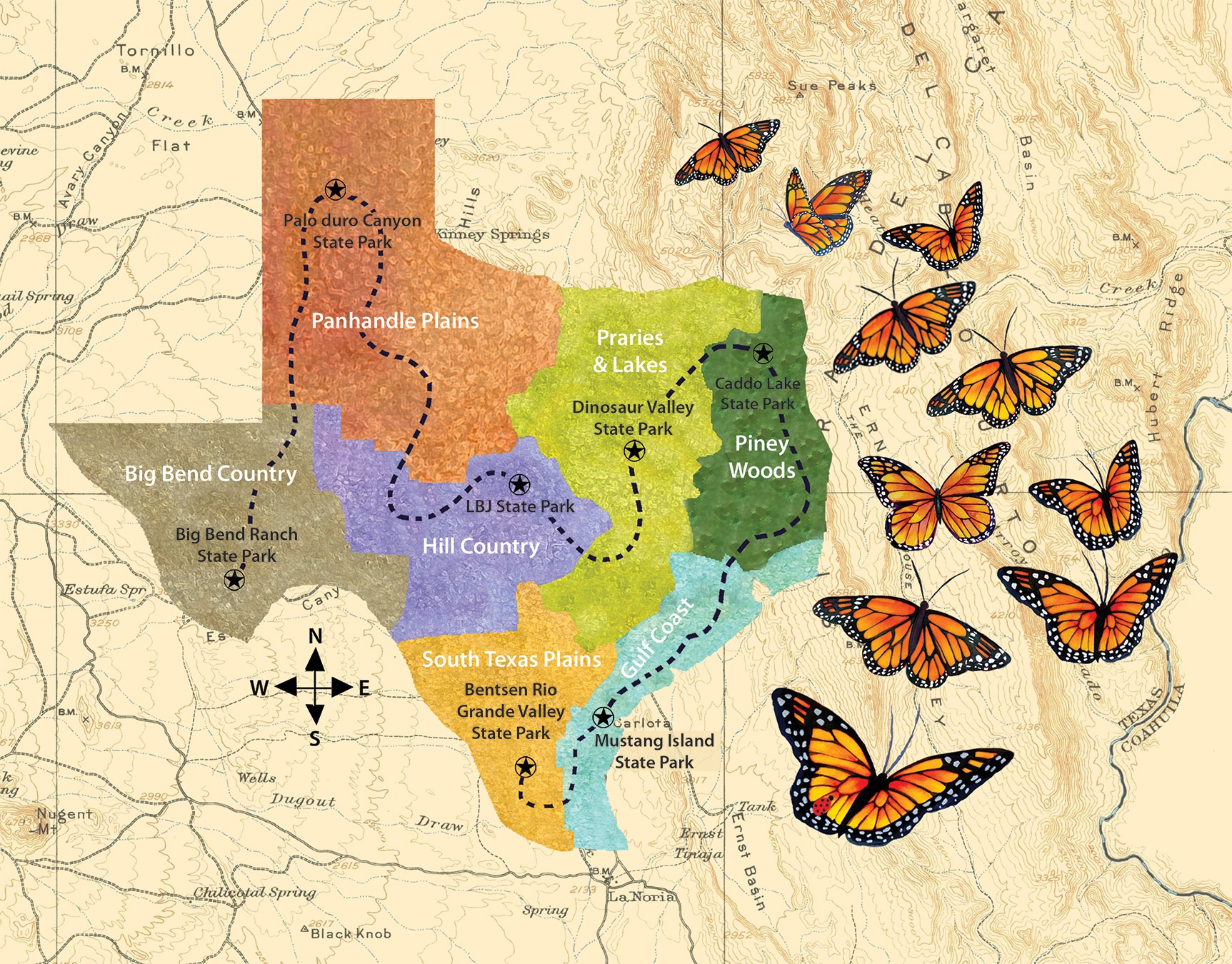 Monarch Migration by Kathryn Vermillion