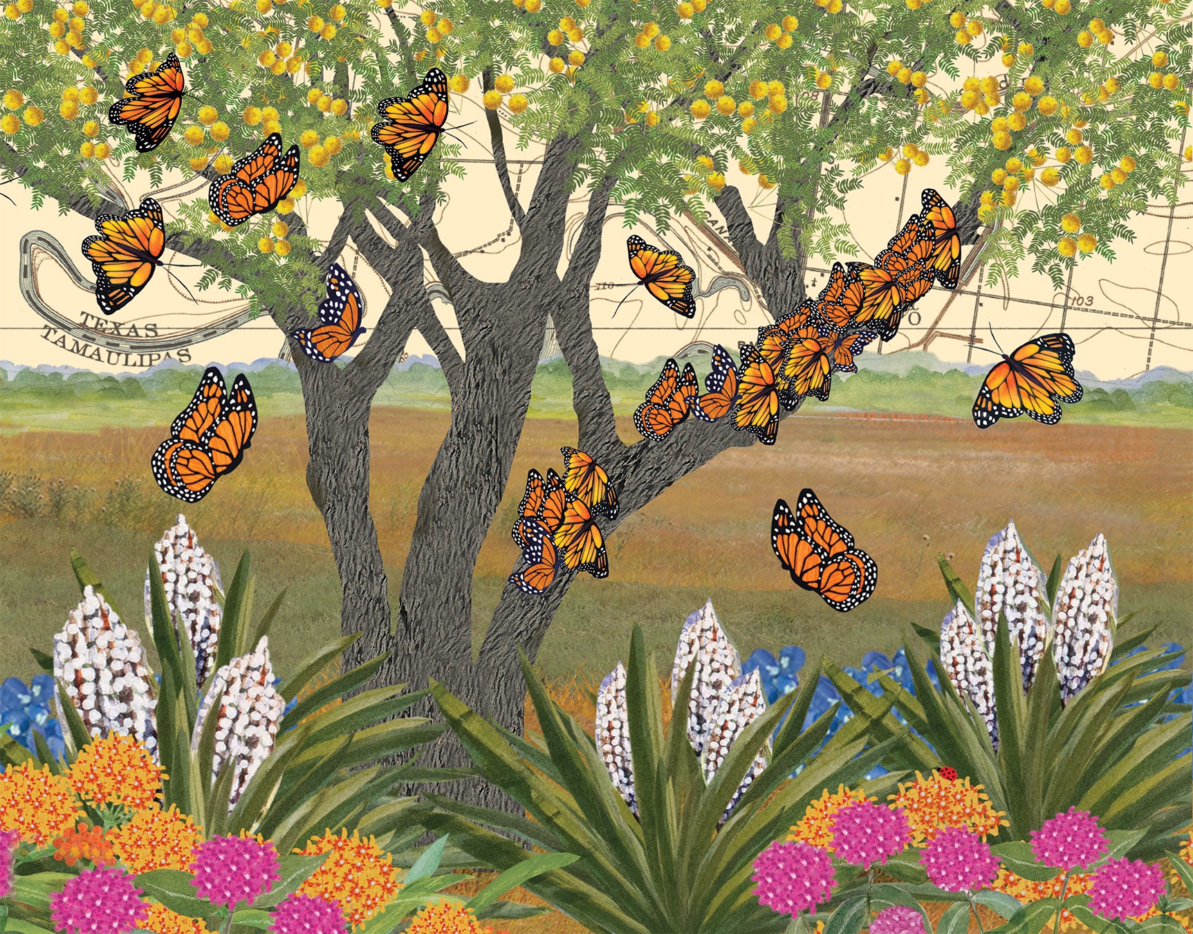Monarchs by Kathryn Vermillion