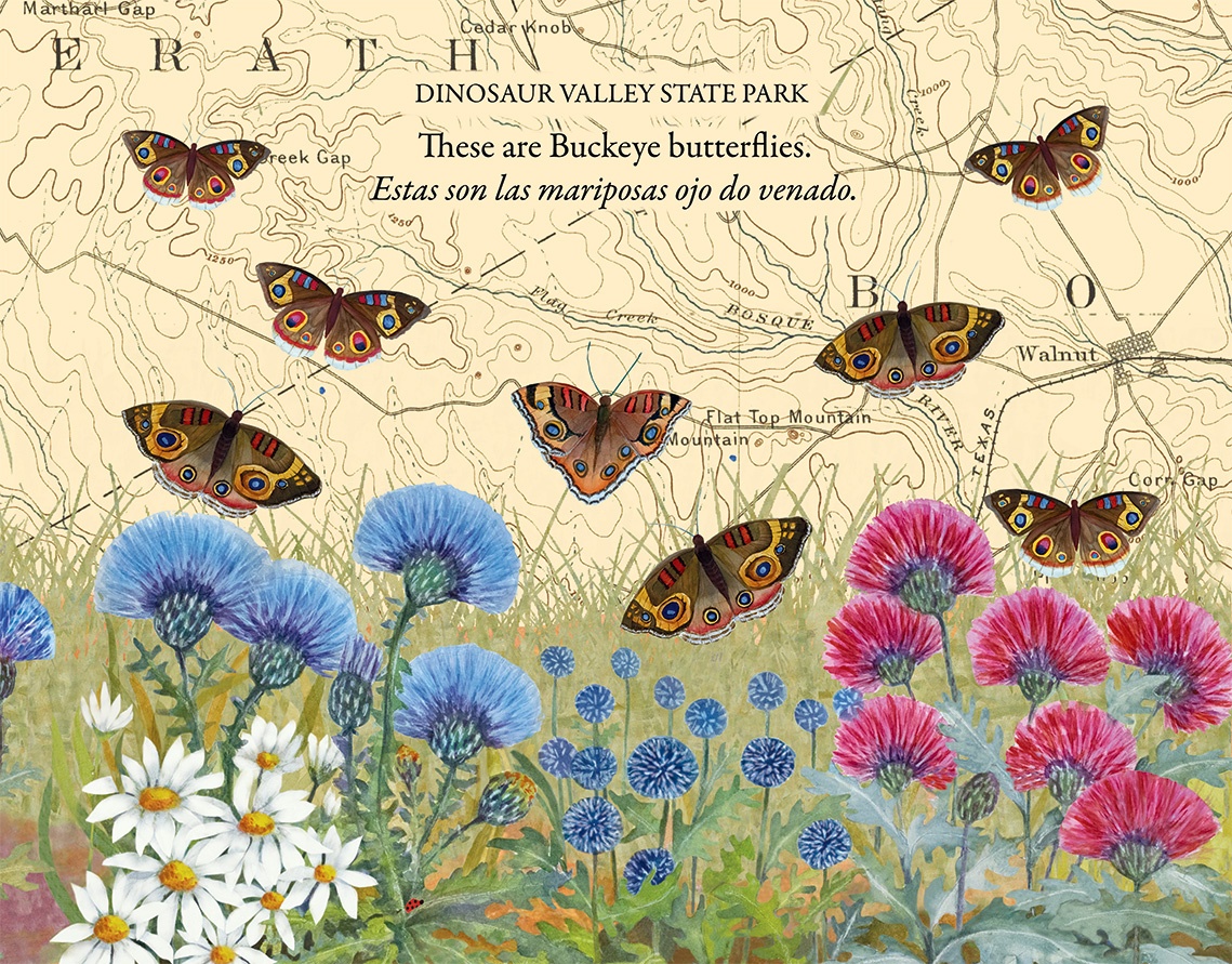 Monarchs and Swallowtails at LBJ State Park