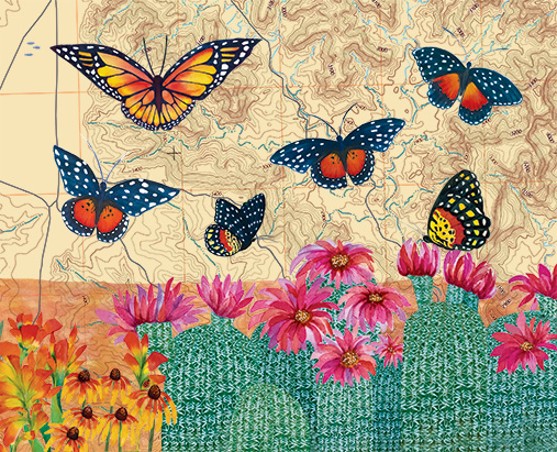 Monarch and Crimson Patch Butterflies at Palo Duro