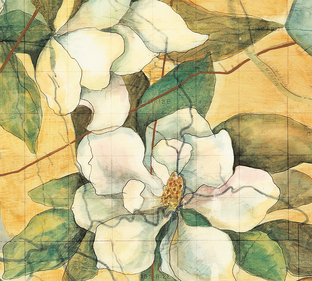 Magnolias by Kathryn Vermillion