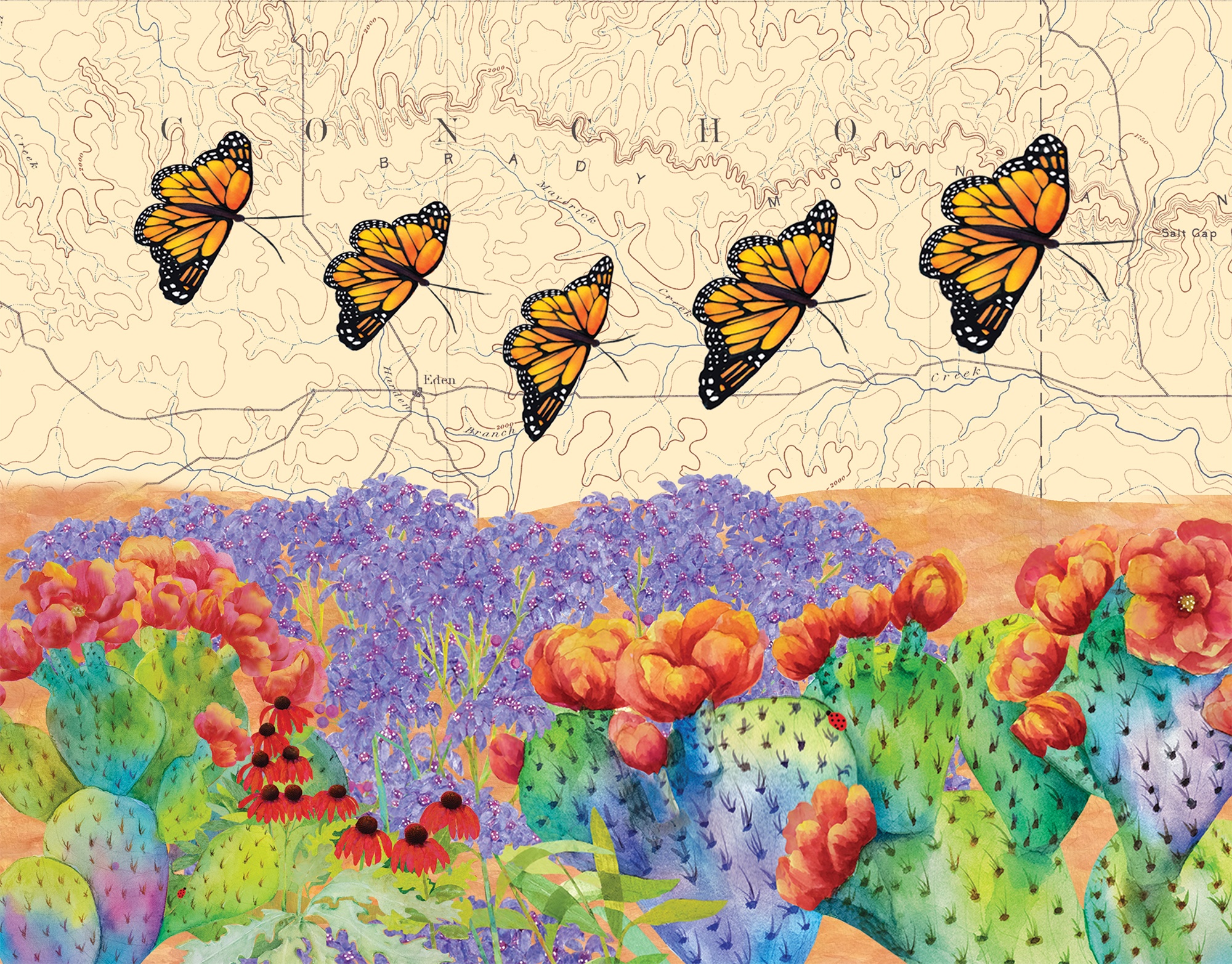 Monarch and Racoon in Big Bend State Park